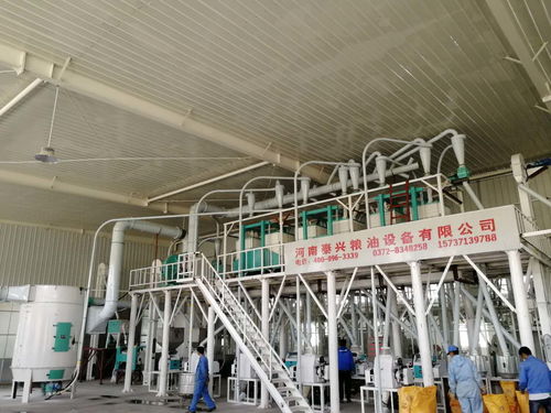 食品加工設(shè)備報(bào)價(jià) 廠家