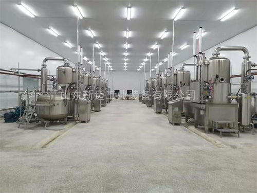 大棗真空油炸機加工設(shè)備廠家供應(yīng) 山東新邁工業(yè) 推薦商家 高清圖片 高清大圖